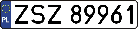 ZSZ89961