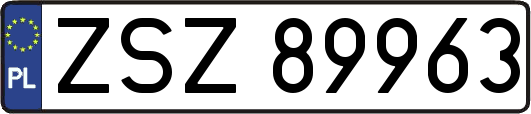 ZSZ89963