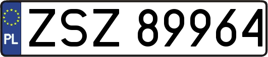 ZSZ89964
