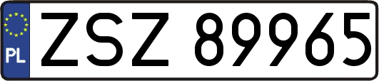 ZSZ89965