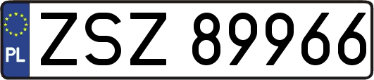 ZSZ89966