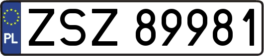 ZSZ89981