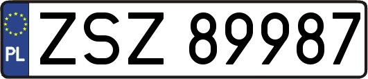 ZSZ89987