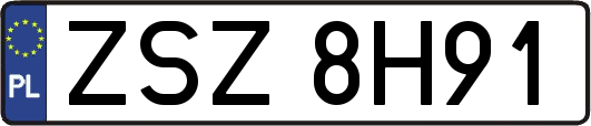 ZSZ8H91