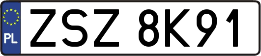ZSZ8K91