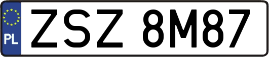 ZSZ8M87