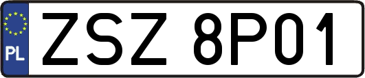 ZSZ8P01