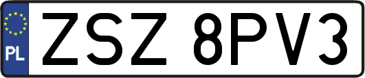 ZSZ8PV3
