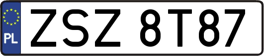 ZSZ8T87