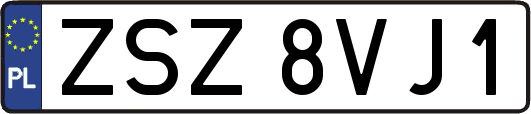 ZSZ8VJ1