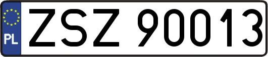 ZSZ90013