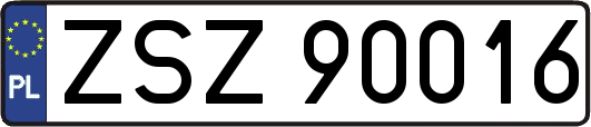 ZSZ90016