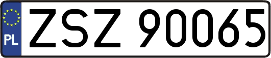 ZSZ90065