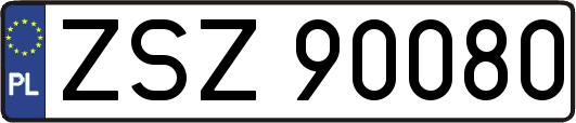 ZSZ90080
