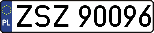 ZSZ90096