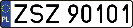 ZSZ90101