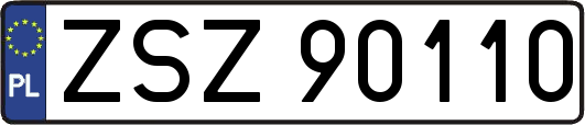 ZSZ90110