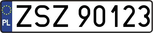 ZSZ90123