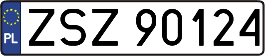 ZSZ90124