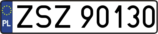ZSZ90130