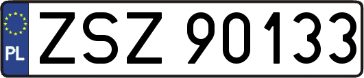ZSZ90133