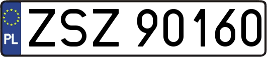 ZSZ90160