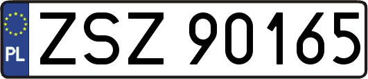 ZSZ90165
