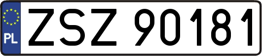 ZSZ90181