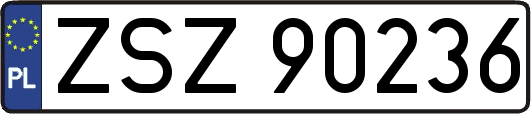 ZSZ90236