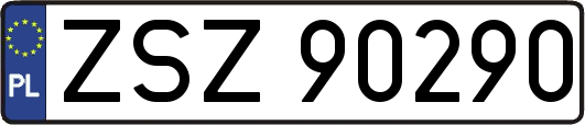 ZSZ90290