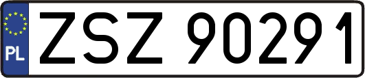 ZSZ90291