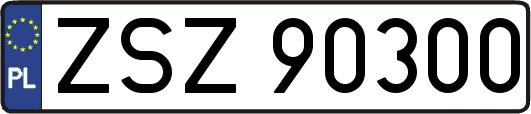 ZSZ90300