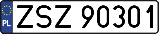 ZSZ90301