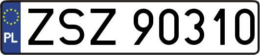 ZSZ90310