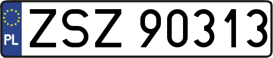 ZSZ90313