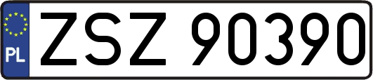 ZSZ90390