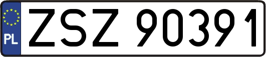 ZSZ90391