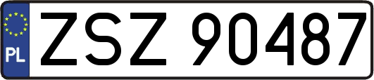 ZSZ90487