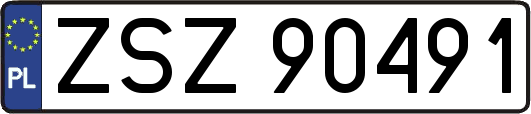 ZSZ90491