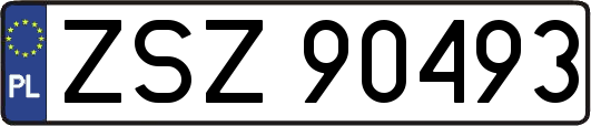 ZSZ90493
