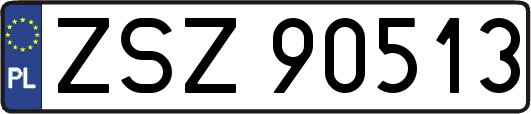 ZSZ90513