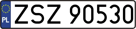 ZSZ90530