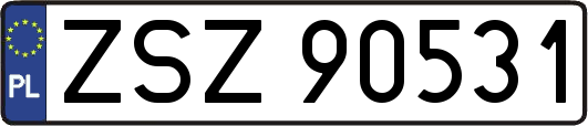 ZSZ90531