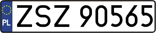 ZSZ90565