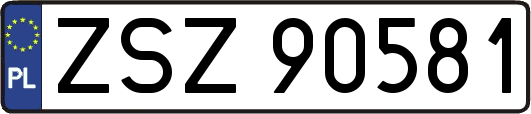 ZSZ90581