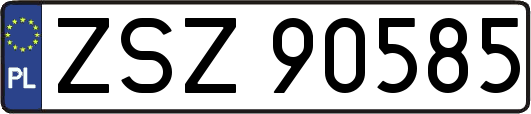ZSZ90585