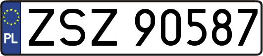 ZSZ90587