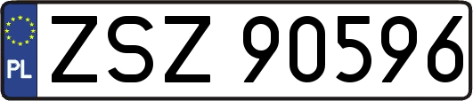 ZSZ90596