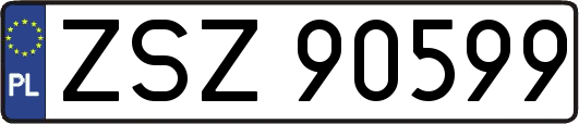 ZSZ90599