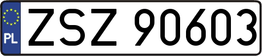 ZSZ90603